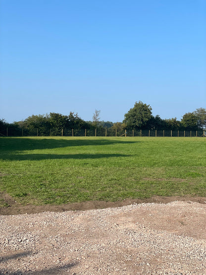 Dog Field Rental 25 Mins