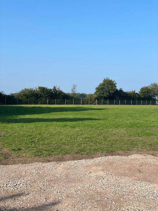 Dog Field Rental 25 Mins